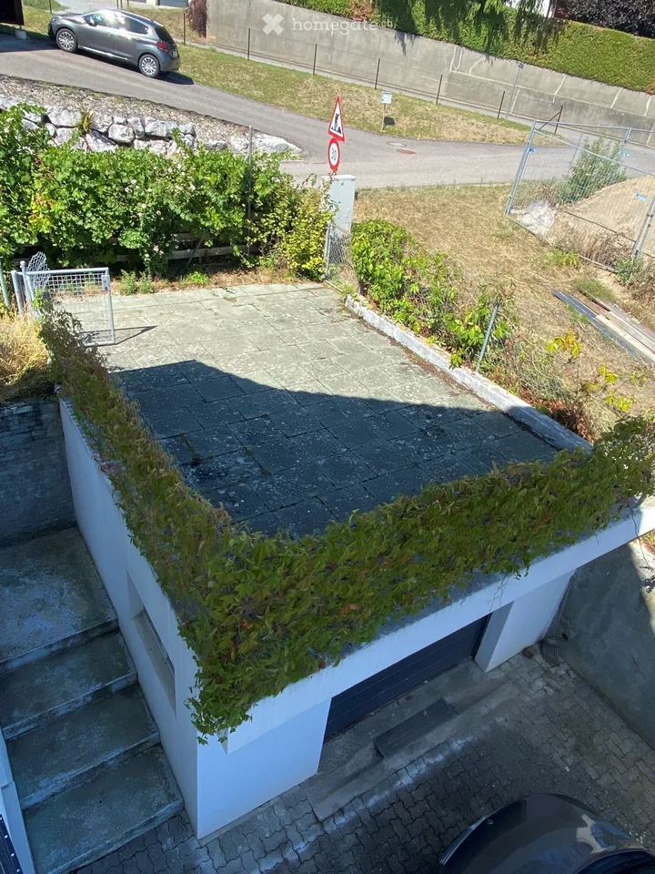 Grande appartamento 2.5 locali ristrutturato con terrazza in quartiere tranquillo