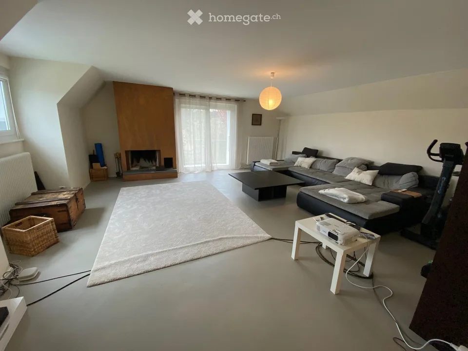 Grande appartamento 2.5 locali ristrutturato con terrazza in quartiere tranquillo