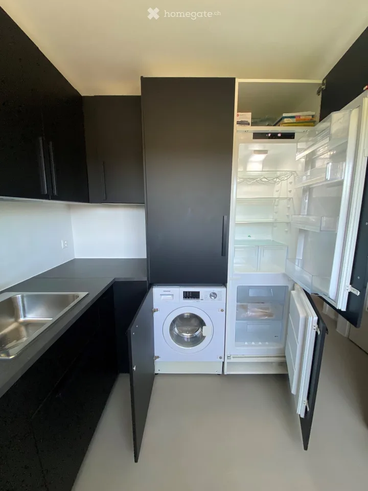 Grande appartamento 2.5 locali ristrutturato con terrazza in quartiere tranquillo
