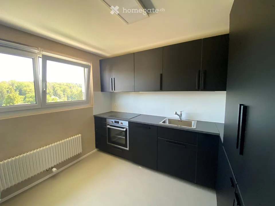 Grande appartamento 2.5 locali ristrutturato con terrazza in quartiere tranquillo
