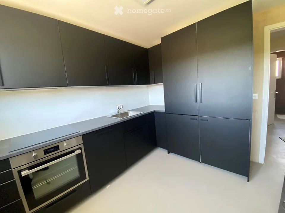 Grande appartamento 2.5 locali ristrutturato con terrazza in quartiere tranquillo