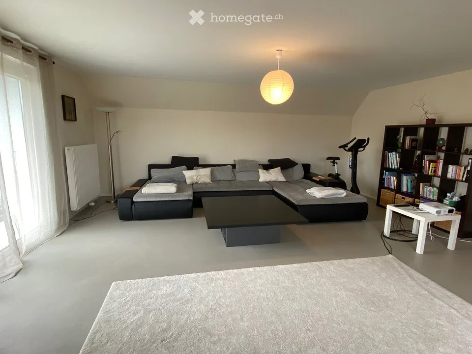 Grande appartamento 2.5 locali ristrutturato con terrazza in quartiere tranquillo