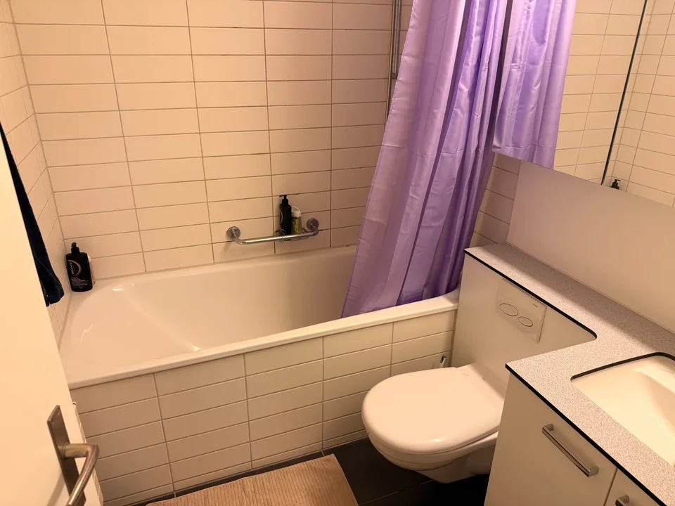 2½ ZI-WOHNUNG IN ZÜRICH - KREIS 3 FRIESENBERG, MÖBLIERT, TEMPORÄR