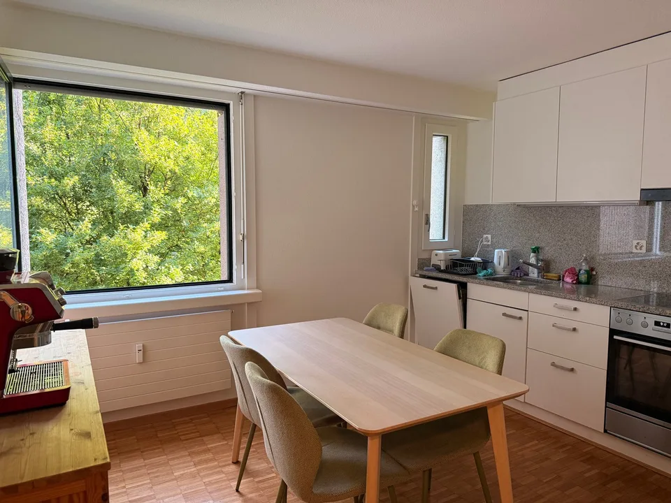 2½ ZI-WOHNUNG IN ZÜRICH - KREIS 3 FRIESENBERG, MÖBLIERT, TEMPORÄR