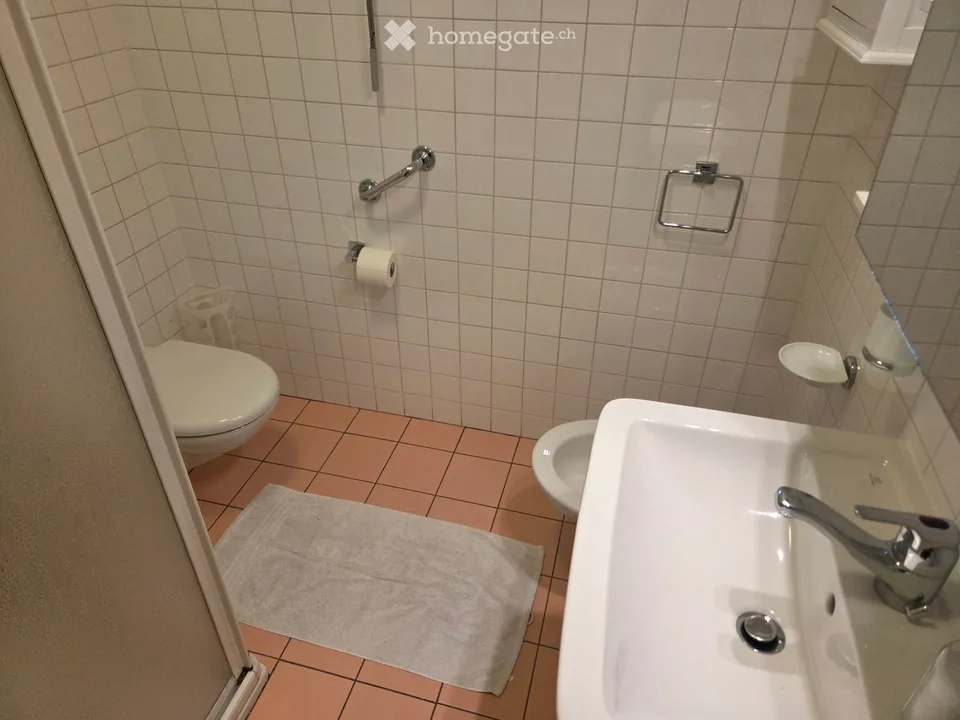 Helllichte Wohnung in Pratocarasso möbliert zu vermieten – Foto 3 von 5