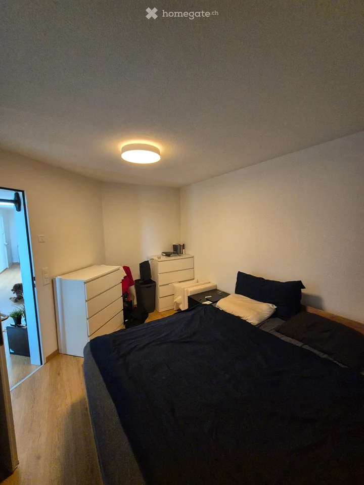 2.5 room apartment in Root
