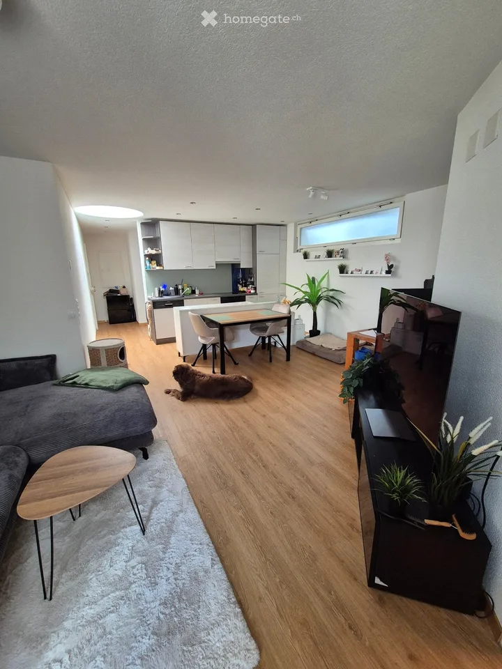 2.5 room apartment in Root