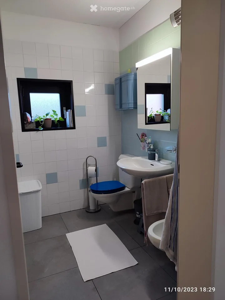 Balerna, location-vente 3.5 locaux avec parking
