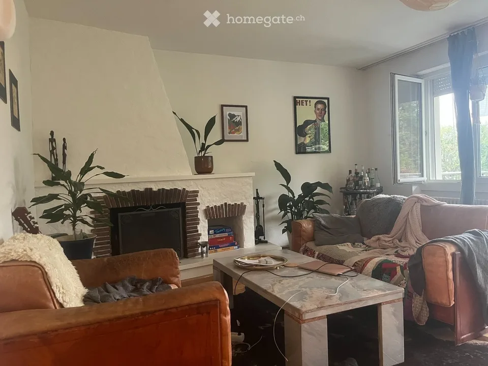 Available from 01 September / Furnished apartment (for about 1.5 years)