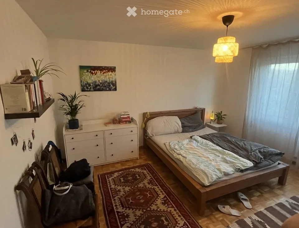 Available from 01 September / Furnished apartment (for about 1.5 years)