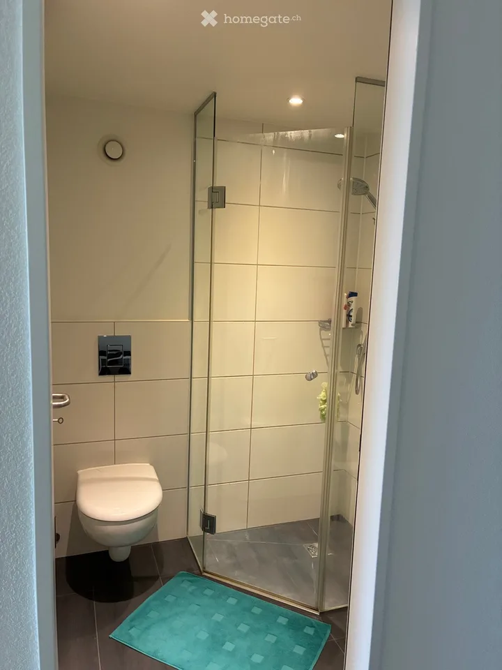 À partir du 1er novembre jusqu'à la fin avril, appartement meublé de 3 pièces et demie