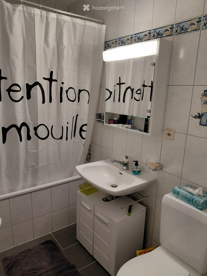 Colocation in Champlan (VS)