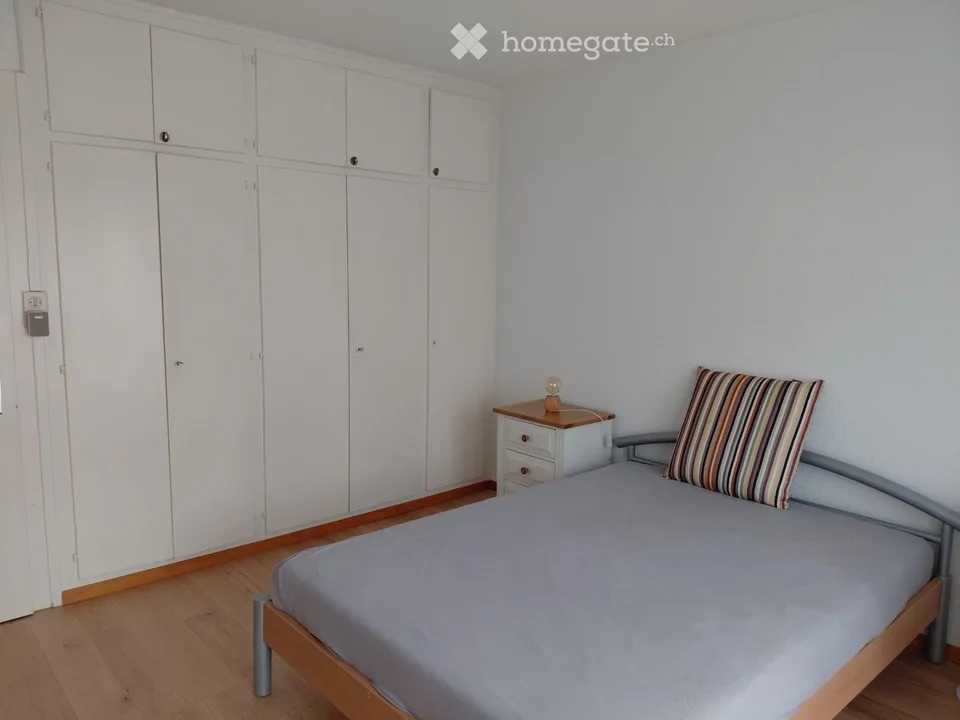 Colocation in Champlan (VS)