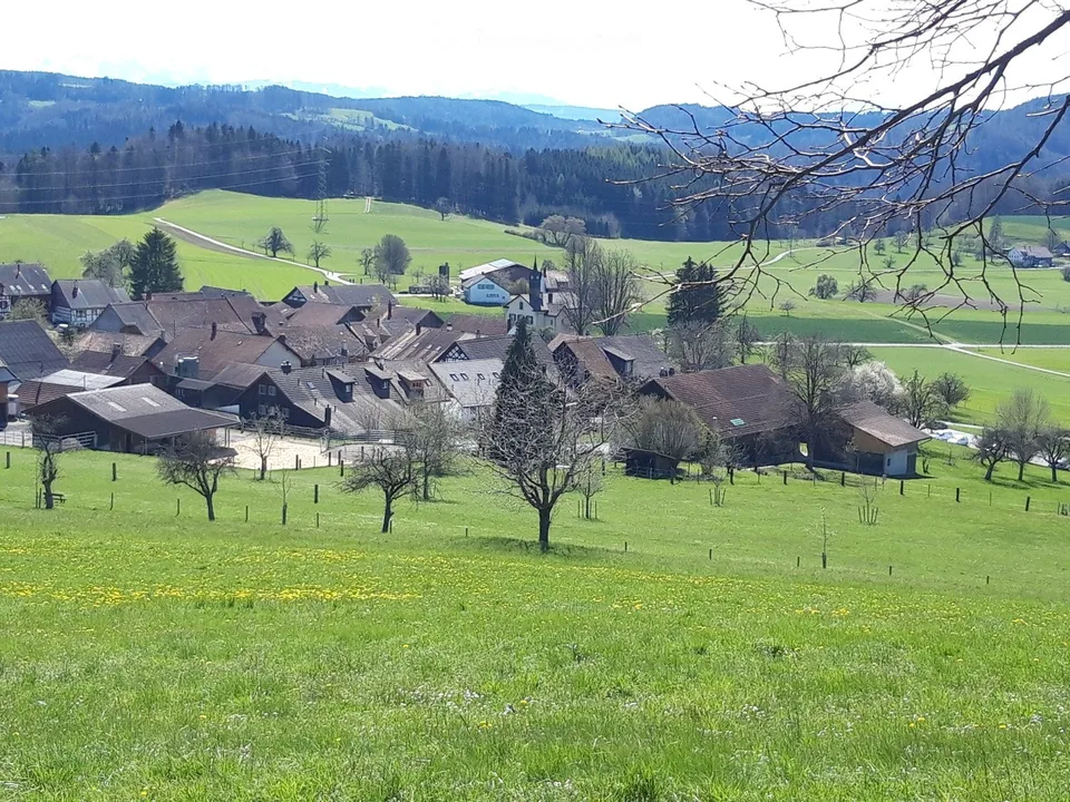 Appartement meublé de 1,5 pièces dans un quartier calme – Winterthur Eidberg