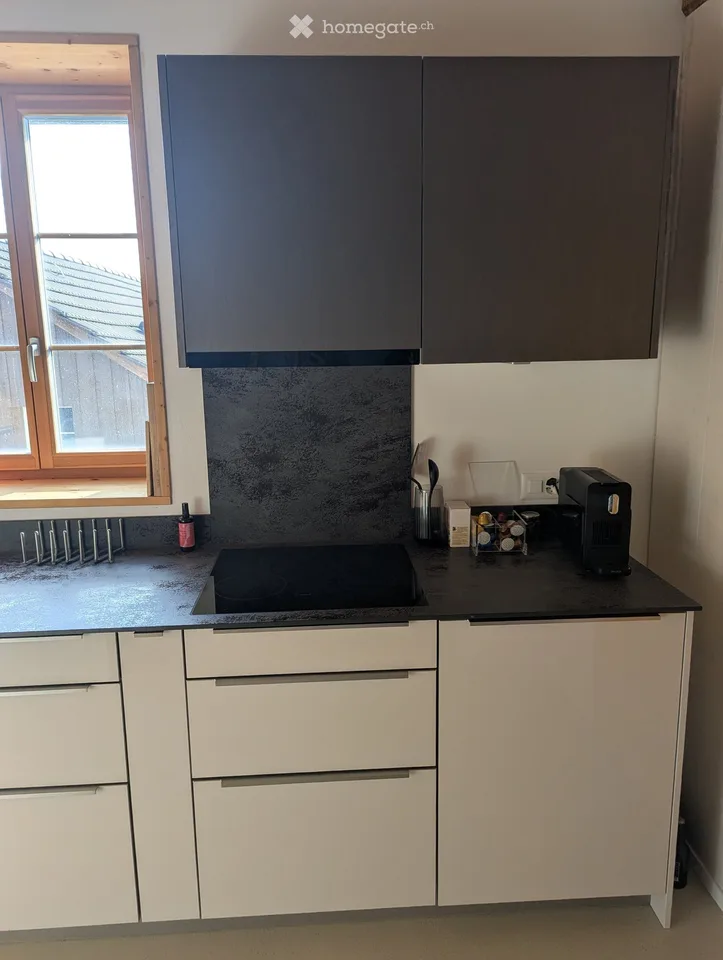 Möblierte 1.5-Zimmer-Wohnung in ruhiger Lage – Winterthur Eidberg