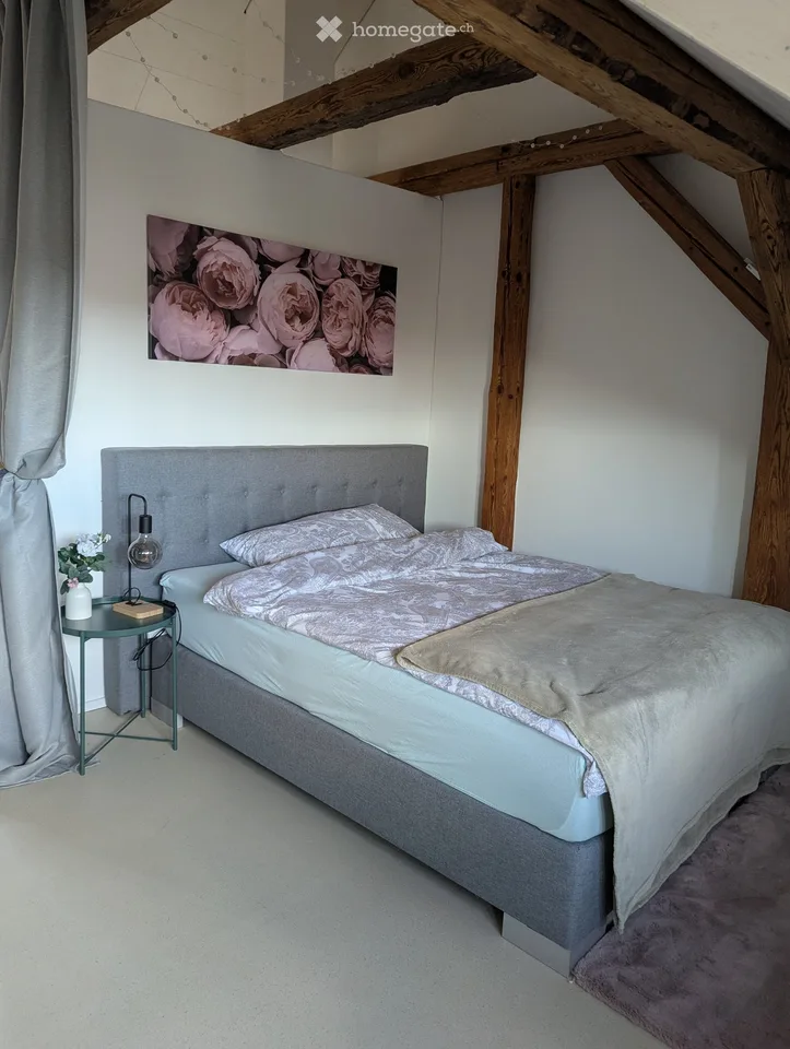 Appartement meublé de 1,5 pièces dans un quartier calme – Winterthur Eidberg
