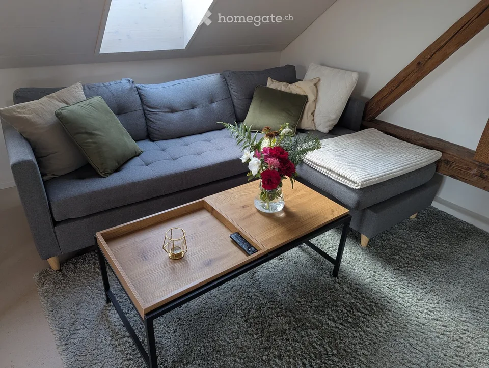 Appartement meublé de 1,5 pièces dans un quartier calme – Winterthur Eidberg