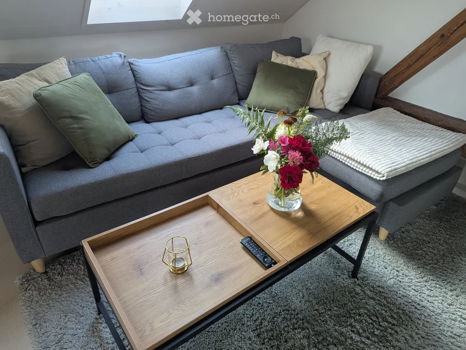 Appartement meublé de 1,5 pièces dans un quartier calme – Winterthur Eidberg