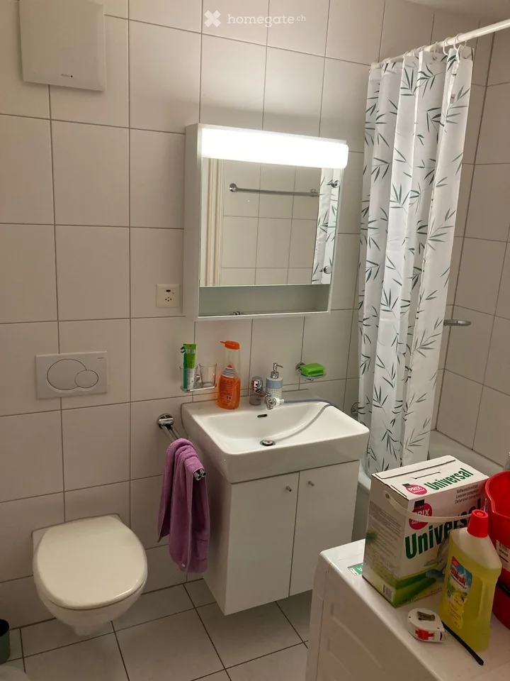 Bright 2.5-room apartment with balcony and mountain panorama in Glarus