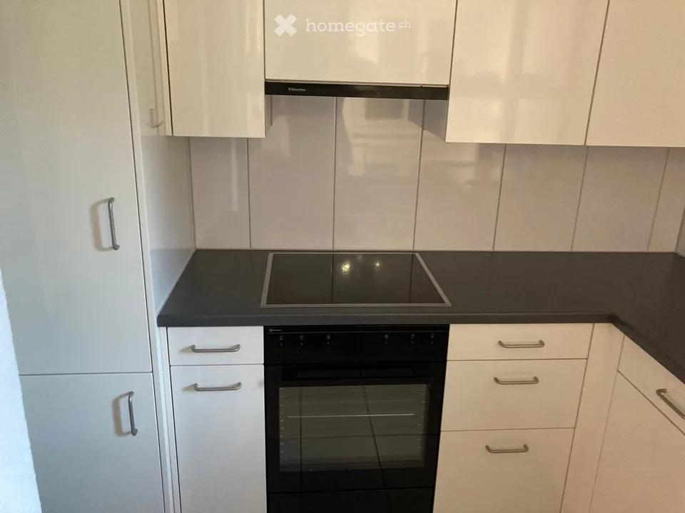 Bright 2.5-room apartment with balcony and mountain panorama in Glarus