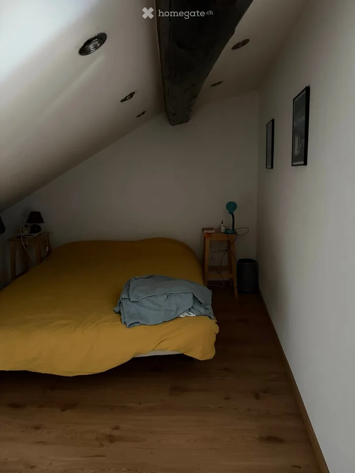 Charming 2.5-room loft apartment with large terrace and breathtaking view
