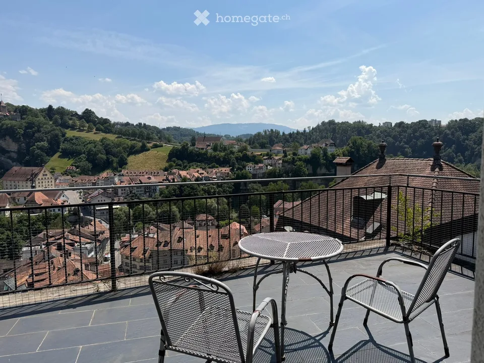 Charming 2.5-room loft apartment with large terrace and breathtaking view