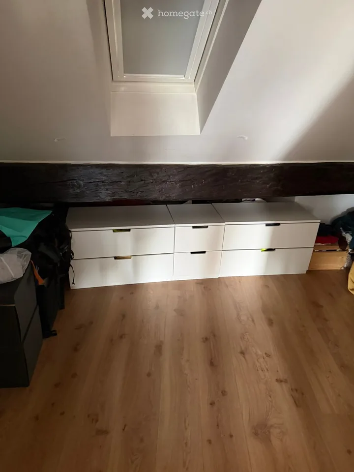 Charming 2.5-room loft apartment with large terrace and breathtaking view