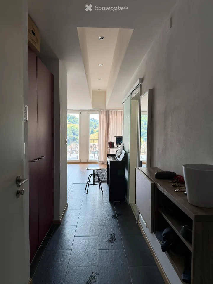 Charming 2.5-room loft apartment with large terrace and breathtaking view