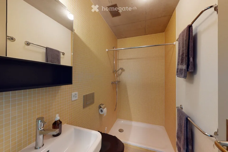 Apartment in Zurich