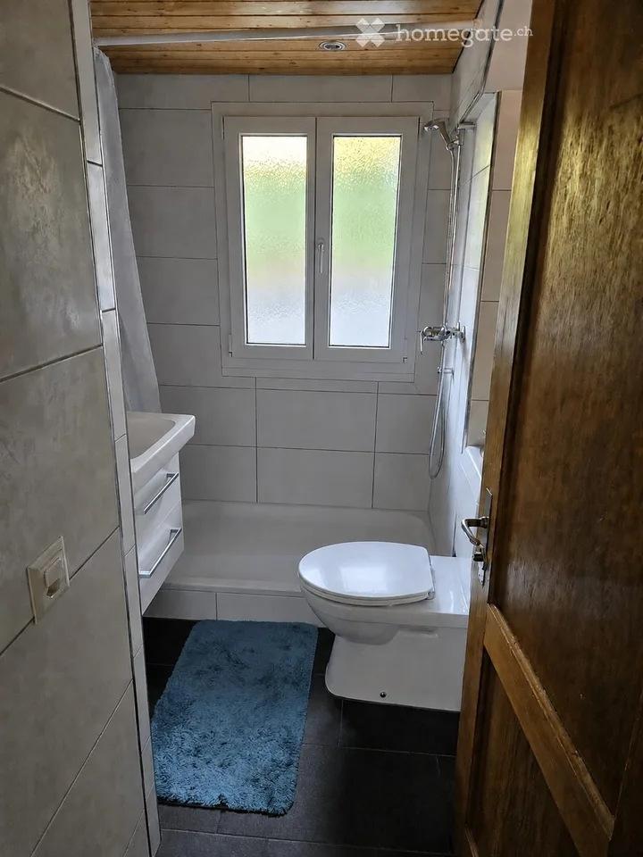 3.5 room apartment with balcony and terrace