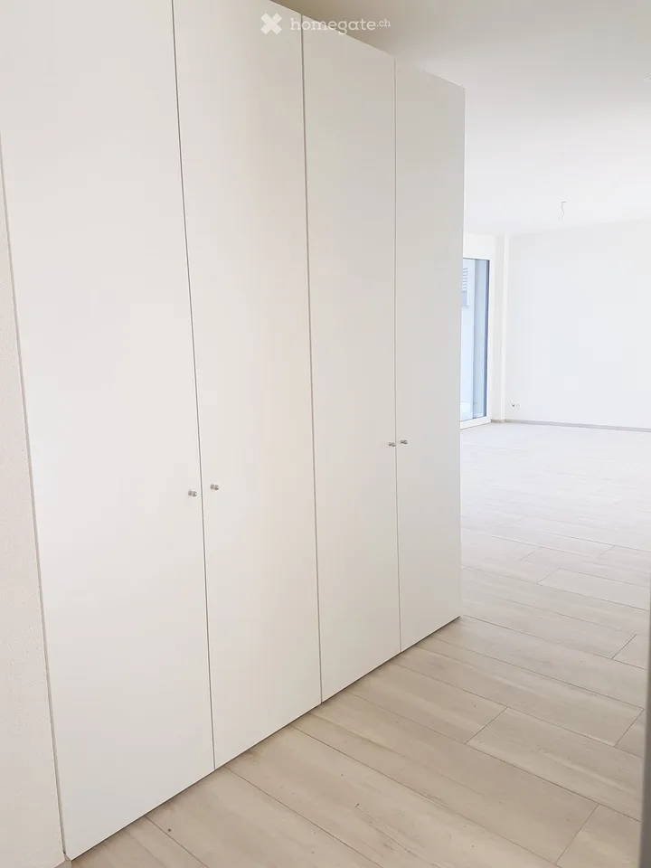 Moderne 3.5-Zimmer-Wohnung mit Seeblick in Richterswil