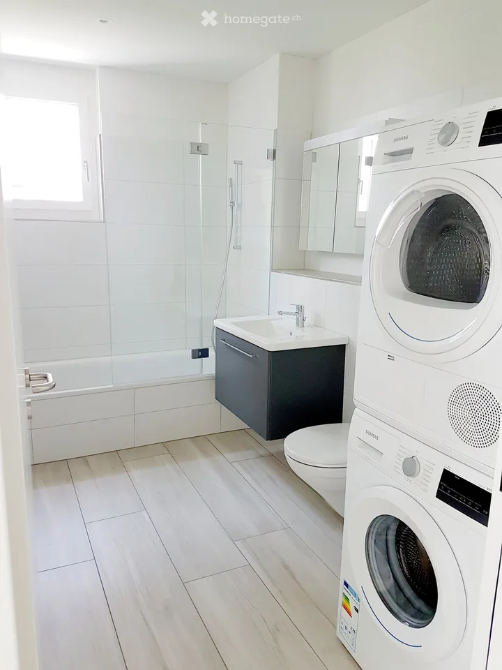 Moderne 3.5-Zimmer-Wohnung mit Seeblick in Richterswil