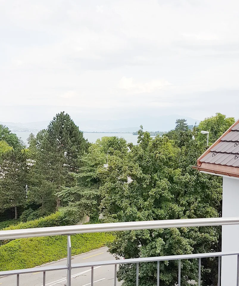 Moderne 3.5-Zimmer-Wohnung mit Seeblick in Richterswil