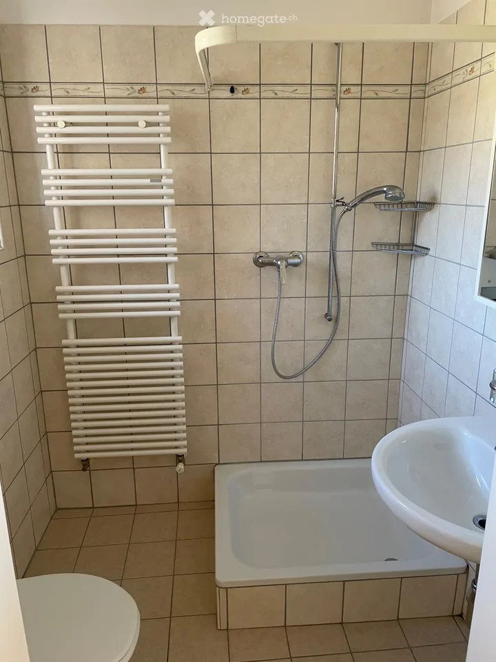 Mieten Sie 3 Zimmer in Ligornetto – Foto 5 von 5