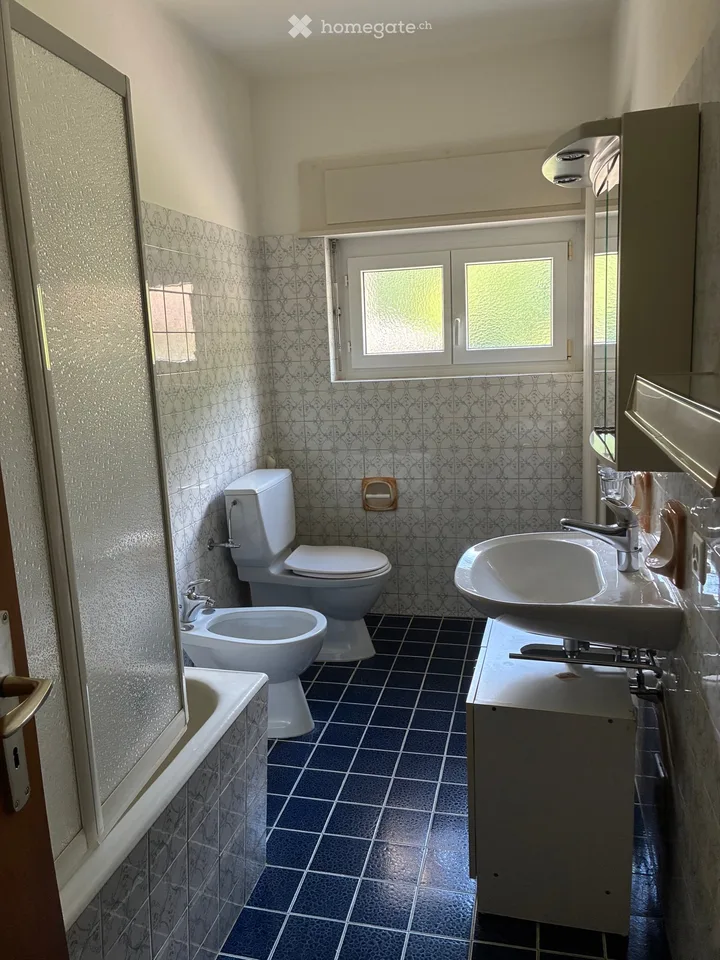 Appartement dans le noyau de Bosco Luganese