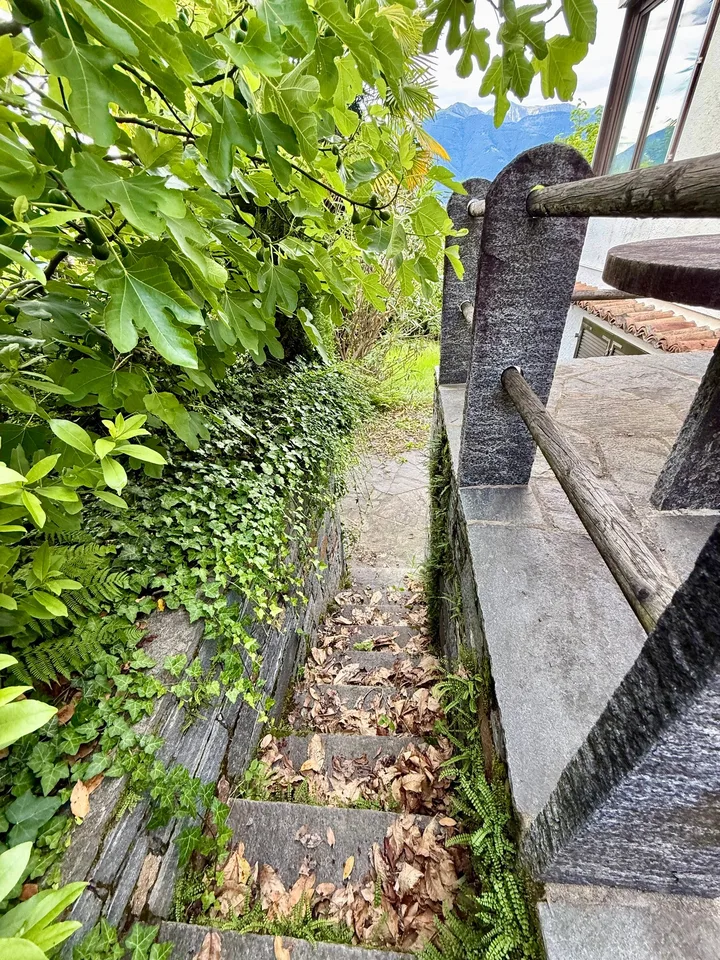 Maison tessinoise rustique avec vue sur le Lago Maggiore à Gambarogno – photo 5 sur 30