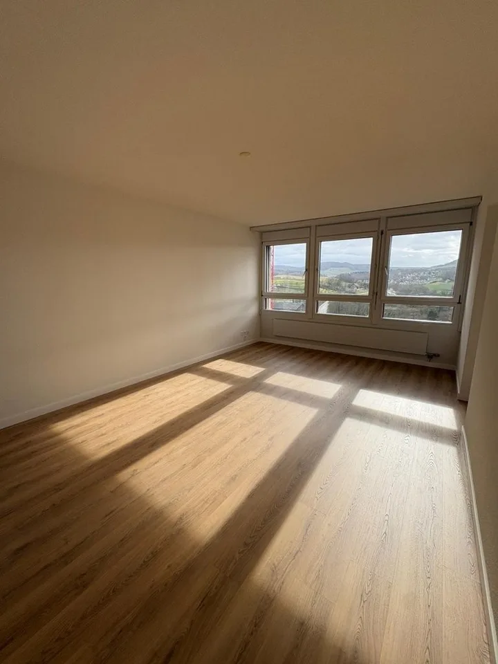 Charming 3.5-room apartment on the 8th floor