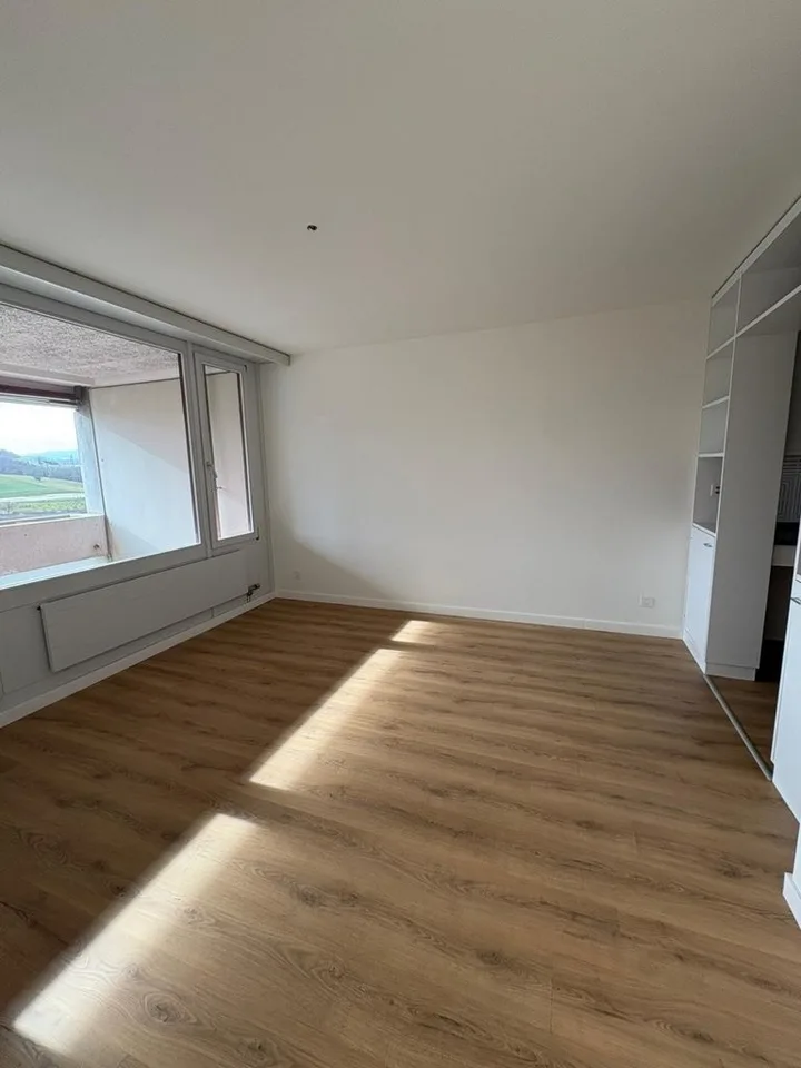 Charming 3.5-room apartment on the 8th floor