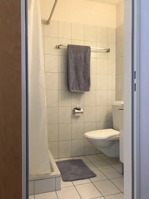 Cozy 3.5-room apartment with balcony in Oetwil an der Limmat