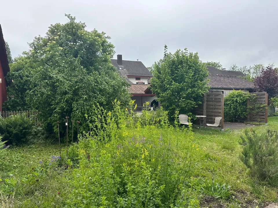 Wohnhaus (9 Wohnungen), Baujahr 1720 (Umbau 1921/22), unter Denkmalschutz, mit Schopf und Garten – Foto 3 von 21