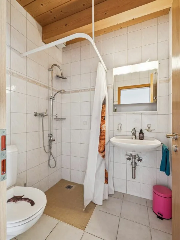Mehrfamilienhaus mit Gewerberäumen, Garagen - Wohnen und Arbeiten am selben Ort, vielseitiges Renditeobjekt mit Entwicklungspotential. – Foto 4 von 30