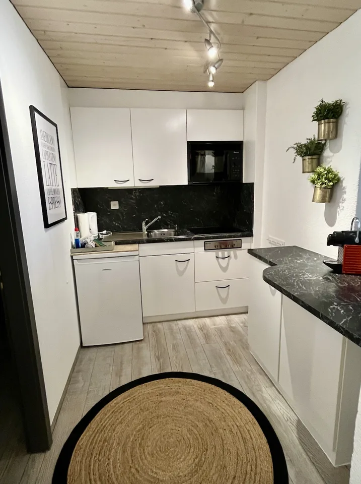 2 ZI-WOHNUNG IN STECKBORN (TG), MÖBLIERT, TEMPORÄR – foto 5 di 10
