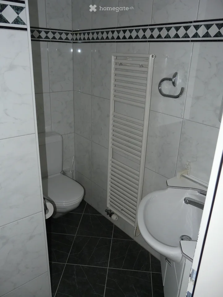 Helle 4.5-Zimmer-Eigentumswohnung mit Balkon und Garage in Embrach