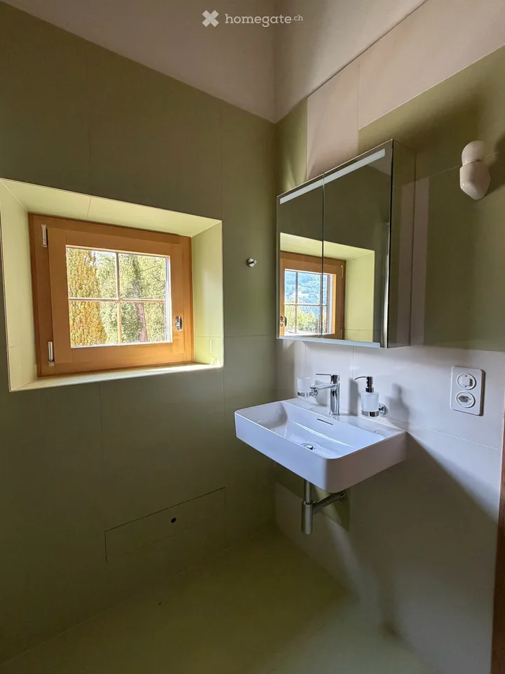 Maison unique avec grand jardin et vue panoramique sur Domleschg