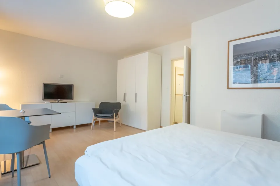 Benvenuti al Herrengrabenweg 15 a Basilea! – foto 2 di 6