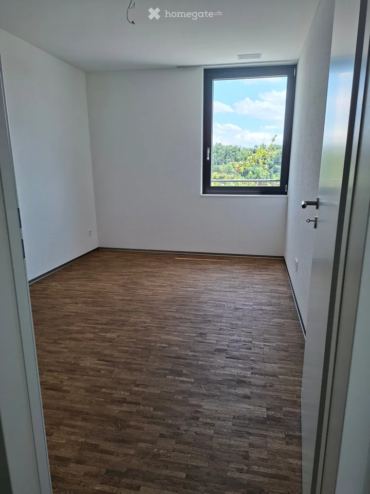 Helle Duplex-Wohnung mit Aussicht auf Feld und Alpen – nahe der Aare