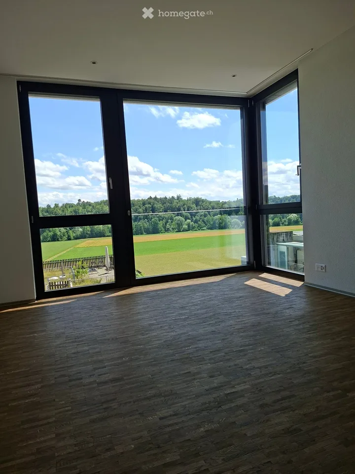Helle Duplex-Wohnung mit Aussicht auf Feld und Alpen – nahe der Aare