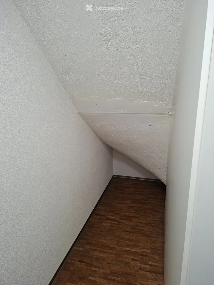 Helle Duplex-Wohnung mit Aussicht auf Feld und Alpen – nahe der Aare