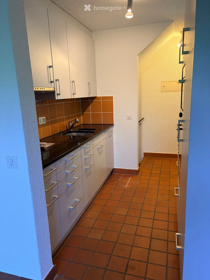 Corner house (semi-detached house) with large garden in Dielsdorf