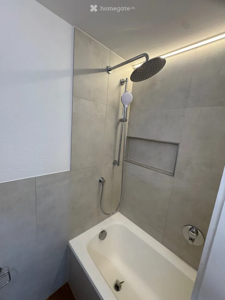 From October 1, 2026, or by agreement, we rent a completely NEWLY renovated single-family house